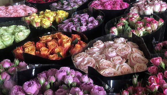 云南斗南鲜花市场。（图片来源：张钦）