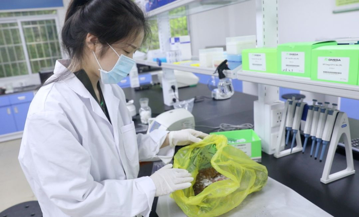 查看同批次其他穿山甲尸体