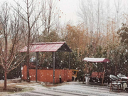 俞敏洪疫情日记2月14日|今年的情人节一定很难忘