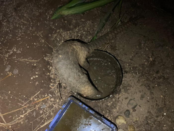 第一次见到“嗜睡”