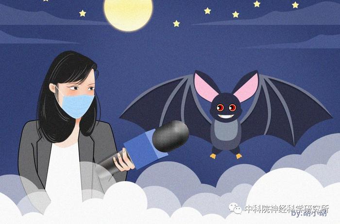 疫情下的蝙蝠专访——揭秘蝙蝠携带病毒却不发病的隐情