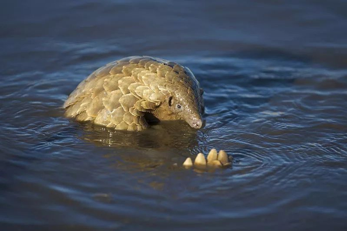 ▲图片来源：视觉中国