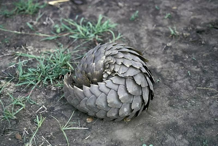 ▲图片来源：视觉中国