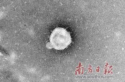 揭秘！这群广东“侦探”在战疫中破解了一个个“悬案”！