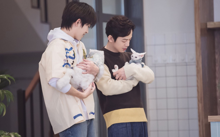 何炅、易烊千玺在真人秀里。图片来自网络