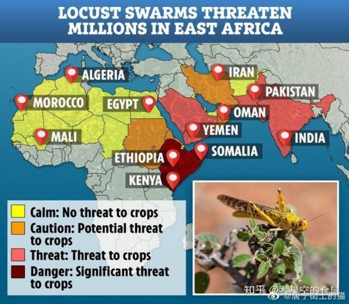 资料来源：新浪财经