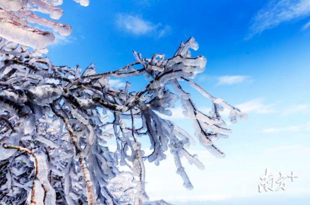 晴，但冷！广东这里出现“雪域高原”