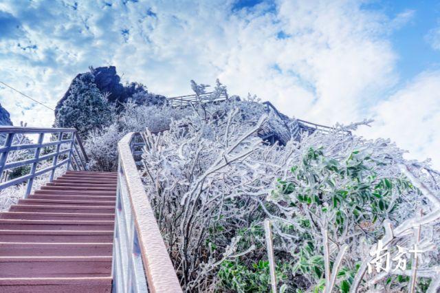 晴，但冷！广东这里出现“雪域高原”