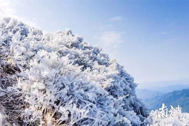 晴，但冷！广东这里出现“雪域高原”