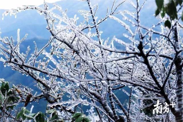 晴，但冷！广东这里出现“雪域高原”