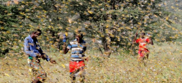 资料来源：百度文库，国泰君安证券研究