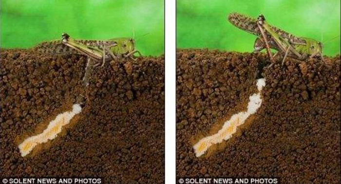 资料来源：新浪财经，国泰君安证券研究