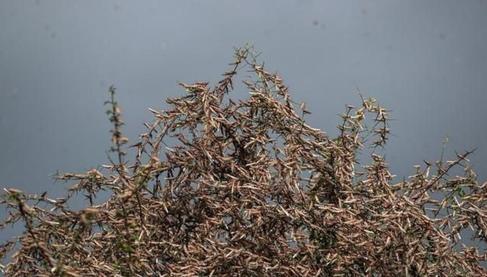 资料来源：新浪财经，国泰君安证券研究