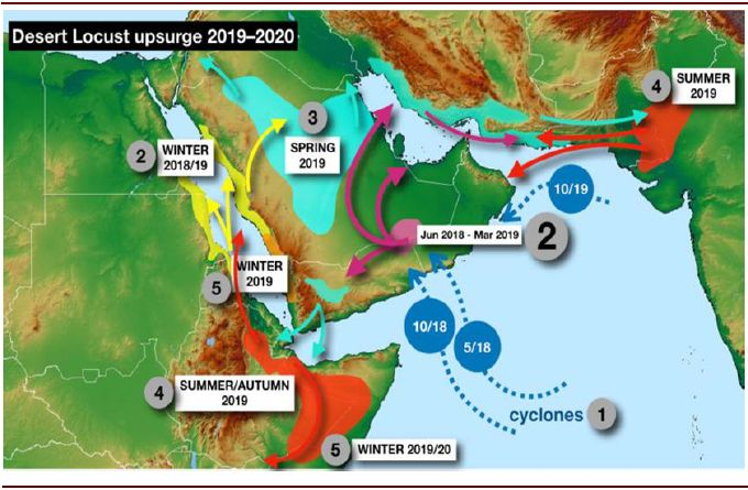 资料来源：FAO，中金公司研究部