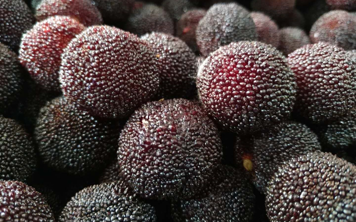 新鲜的杨梅果实。受访者供图