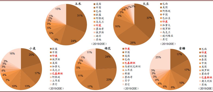 资料来源：USDA，中金公司研究部