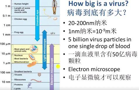 换个视角看待疫情，国际学校教师们的变通之道