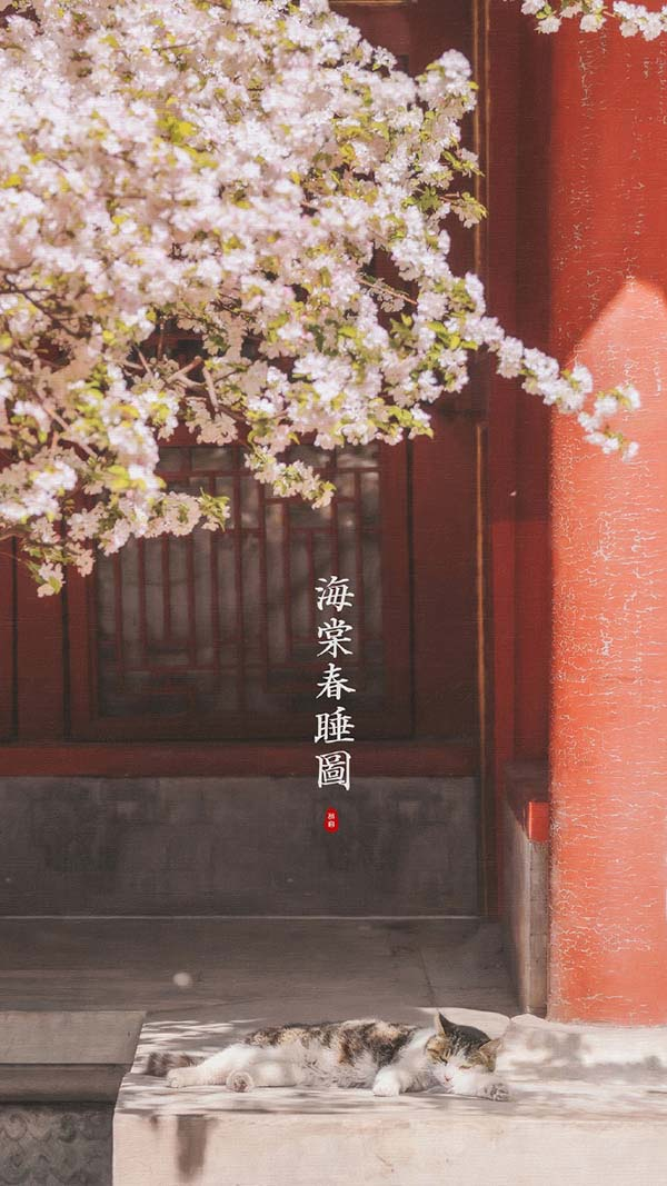 海棠花下的颐和轩“小崽儿”。 @ 刘顺儿妞 图