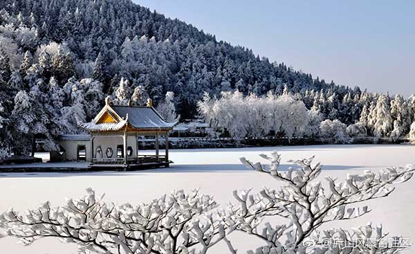 庐山雪景 微博@庐山风景名胜区 图