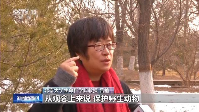 三江源村民与野生动物的故事：当保护动物成为一种传统文化