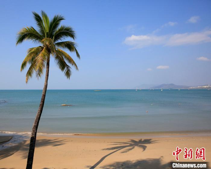 因多人无人踏足，三亚一些景区内平日里热闹的沙滩恢复“原始状态”。　王晓斌 摄