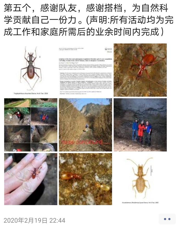 成都工程师“不务正业” 发现昆虫新种，论文登上国际昆虫学术杂志