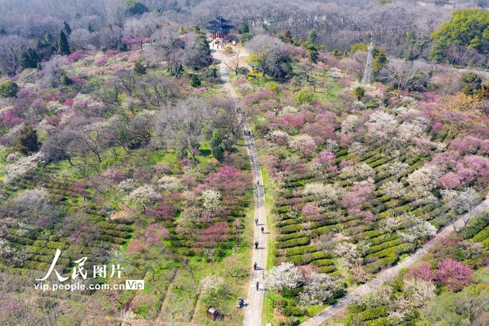 南京钟山风景名胜区有序有限开放