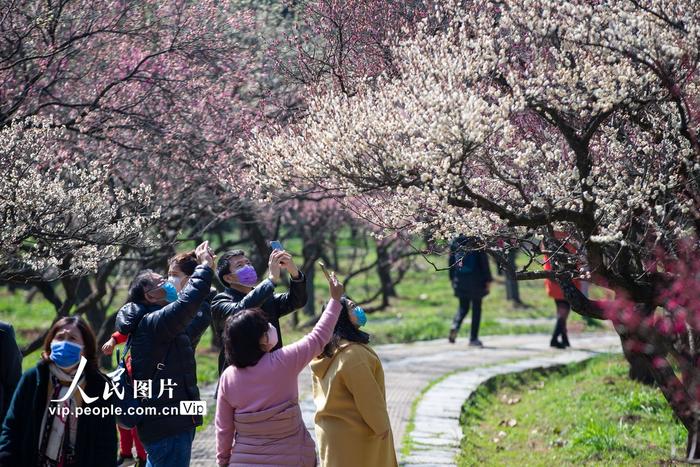 南京钟山风景名胜区有序有限开放