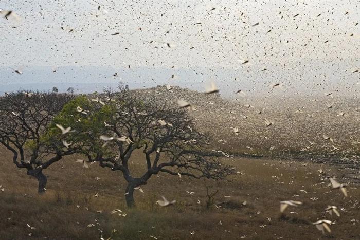 图片来源：视觉中国