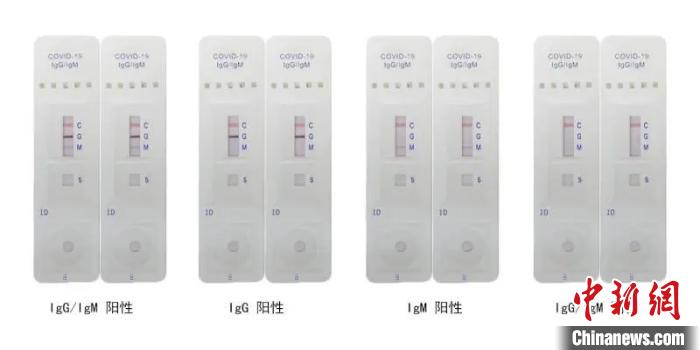 &nbsp;IgM/IgG抗体胶体金检测试纸（2分钟左右检出）。　杭州医学院提供　摄