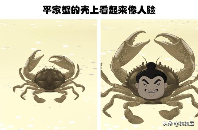 你甚至在生物课上都可能没听过的10个关于动物的有趣冷知识|冷知识_新浪新闻