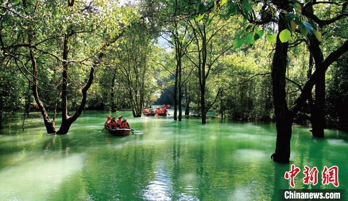     资料图。 荔波小七孔景区　何茂强　摄