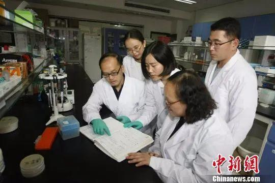 　　资料图：重庆大学生物工程学院某课题组正在实验。　钟欣 摄