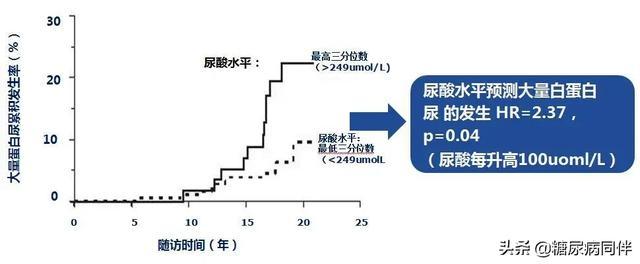 糖尿病肾脏病指南及专家共识解读（上）