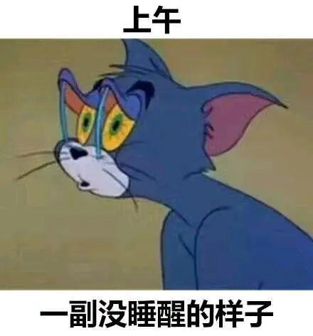 开视频会议，发现同事都是隐形富豪（无奈.jpg）