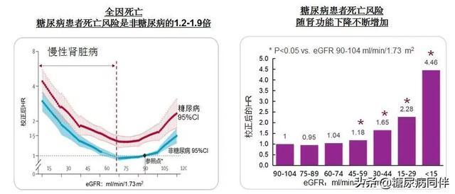 糖尿病肾脏病指南及专家共识解读（上）