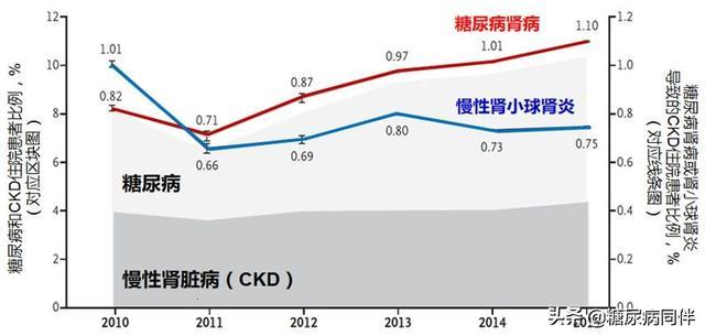 糖尿病肾脏病指南及专家共识解读（上）