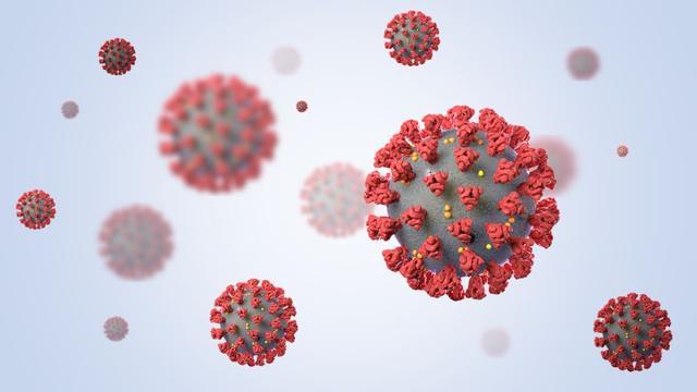 广东感染患者上呼吸道样本的SARS-CoV-2病毒载量