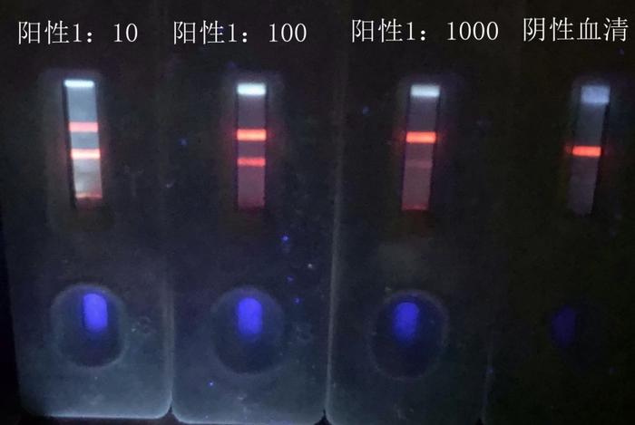 一滴血十分钟快检！这位九三学社社员功不可没