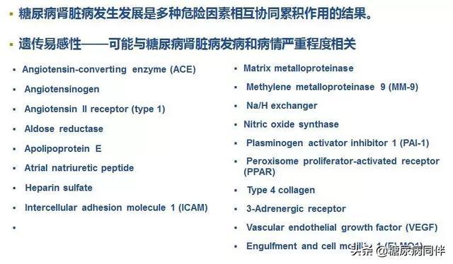 糖尿病肾脏病指南及专家共识解读（上）