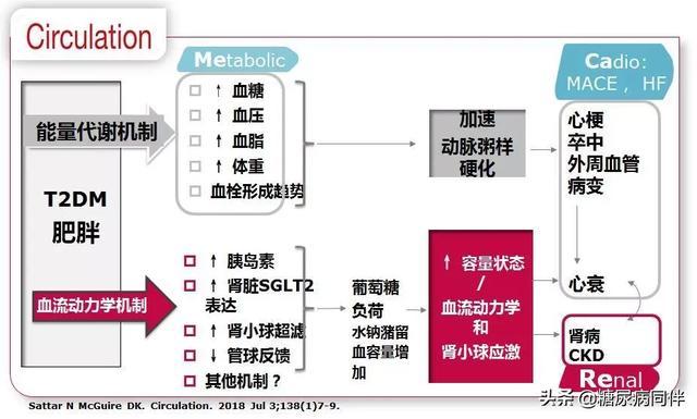 糖尿病肾脏病指南及专家共识解读（上）