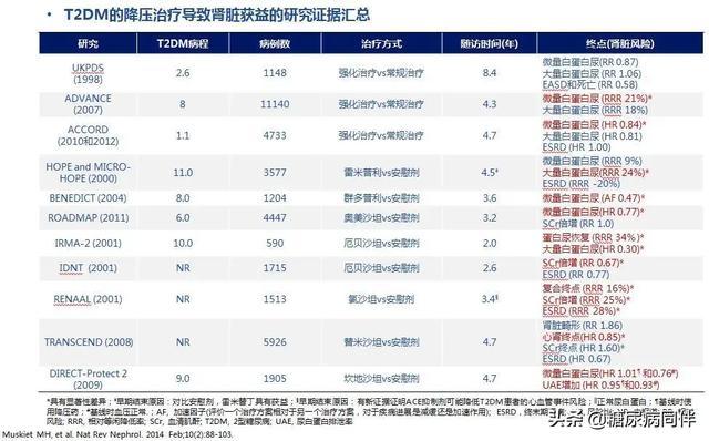 糖尿病肾脏病指南及专家共识解读（上）