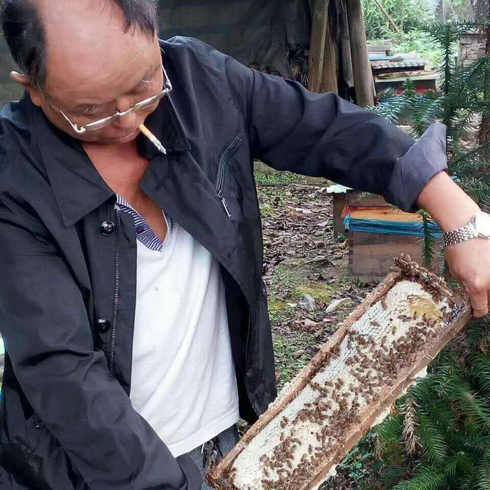 刘显武和他饲养的蜜蜂。受访者供图