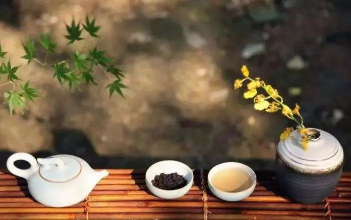 图片｜图片来源于网络