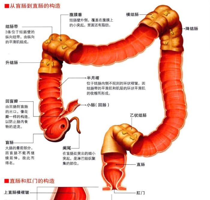 今天护理的这位患者，让我对大量不保留灌肠有了新的认识