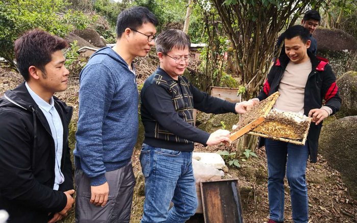 吴杰（左三）在调研指导蜂业生产。受访者供图