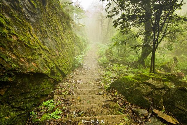 广东最惊险的登山道就在这里，近90度天梯让人望而生畏