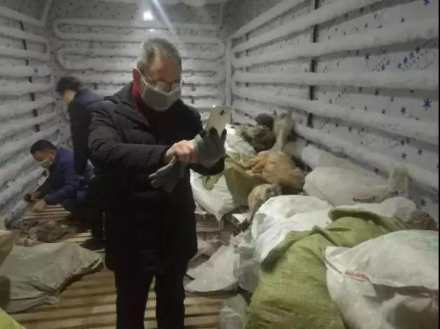  执法人员正在清点现场发现的野生动物制品