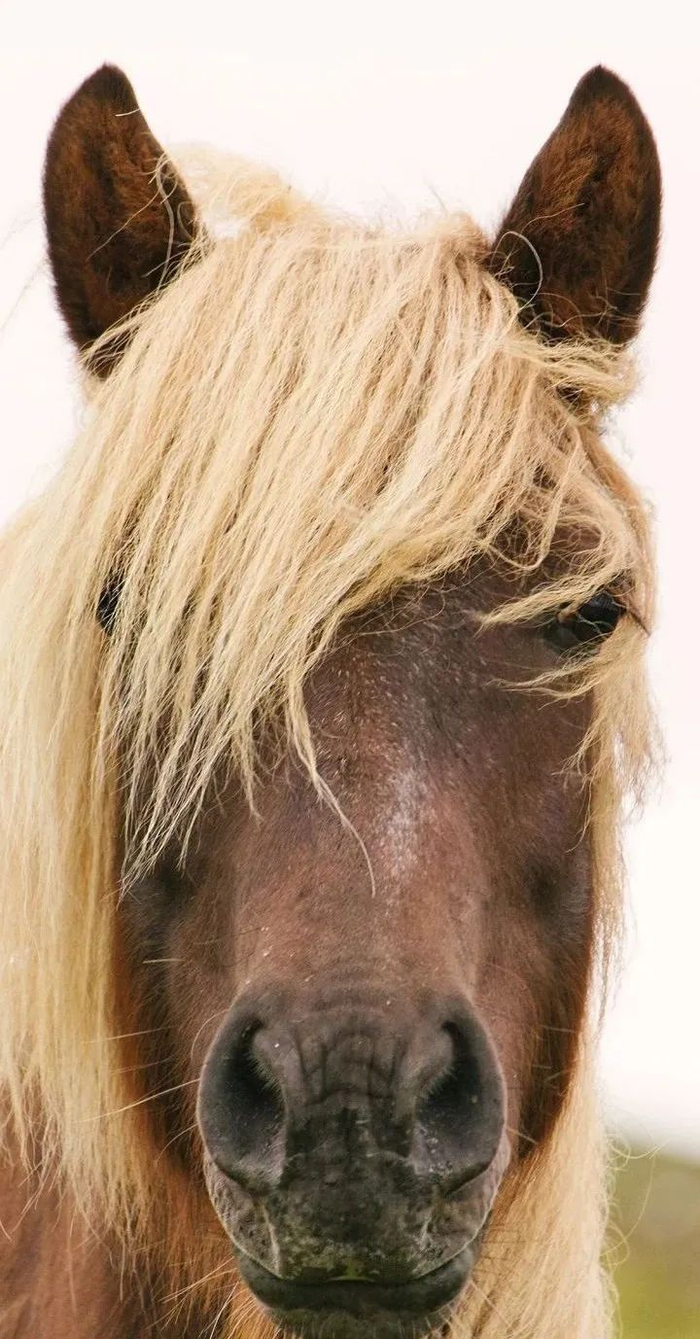 ▲图片来自微博