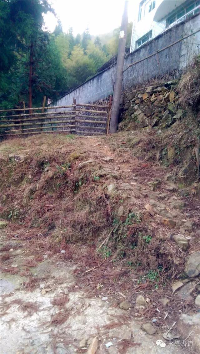 温州吊坦漈古道，瀑飞水奔，奇石林立，箬叶招人，风景奇美